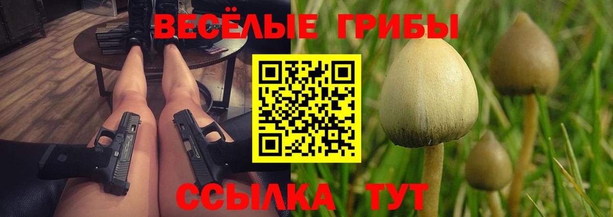 Псилоцибиновые грибы мухоморы Касимов