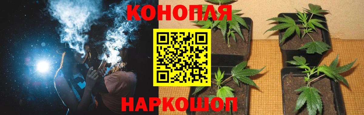 Канабис семена Касимов